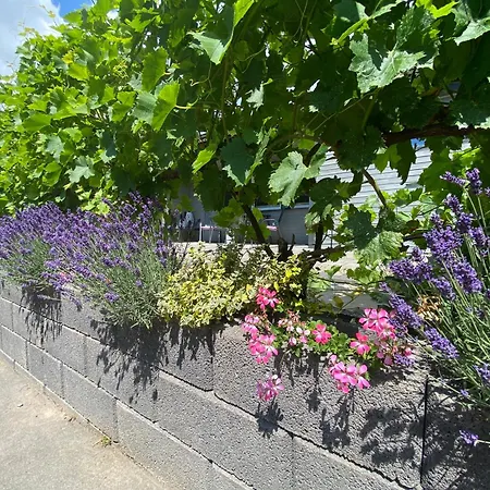 Сasa de vacaciones Am Lutherweg