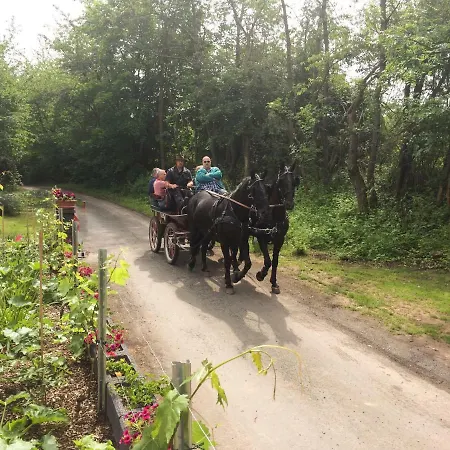 Сasa de vacaciones Am Lutherweg