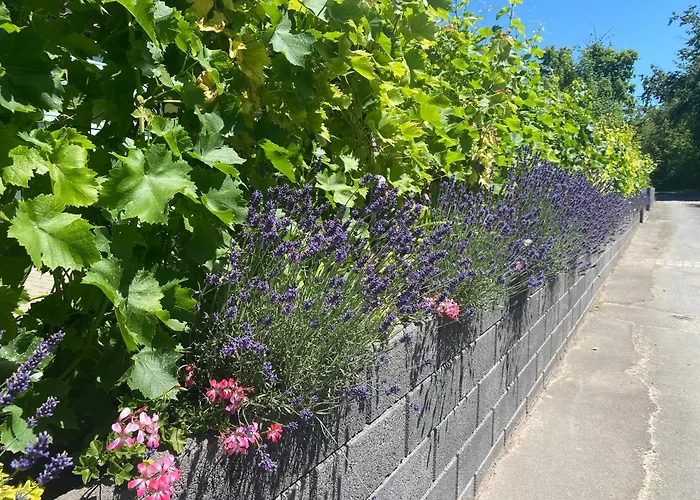 Nyaraló Am Lutherweg *